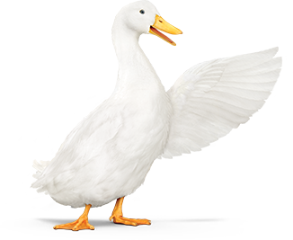 The Aflac Duck, with wing extended.